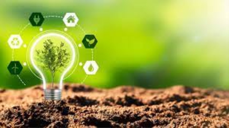 Sustainable Practices: Navigating Business in an Eco-Conscious World